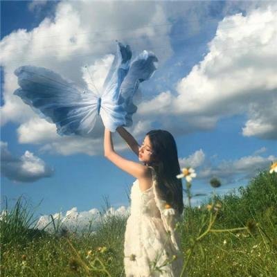 雌雄斗智