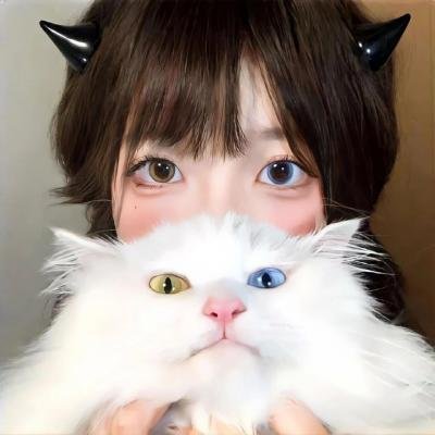 鸵鸟先知